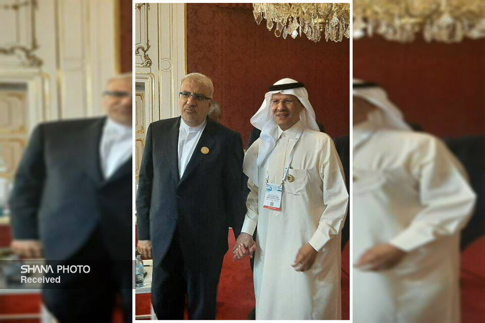 دیدار و مذاکرات فشرده اوجی و وزیر انرژی عربستان در وین