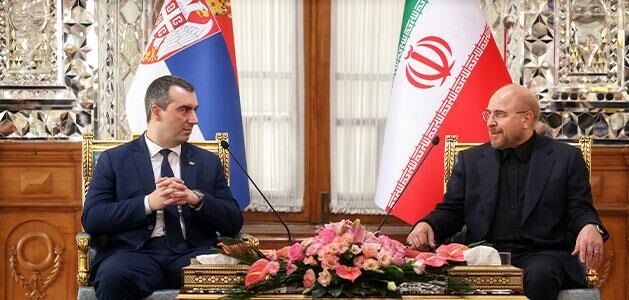 امکان توسعه همکاریهای ایران و صربستان در حوزههای نفت و پتروشیمی فراهم است امکان توسعه همکاریهای ایران و صربستان در حوزههای نفت و پتروشیمی فراهم است