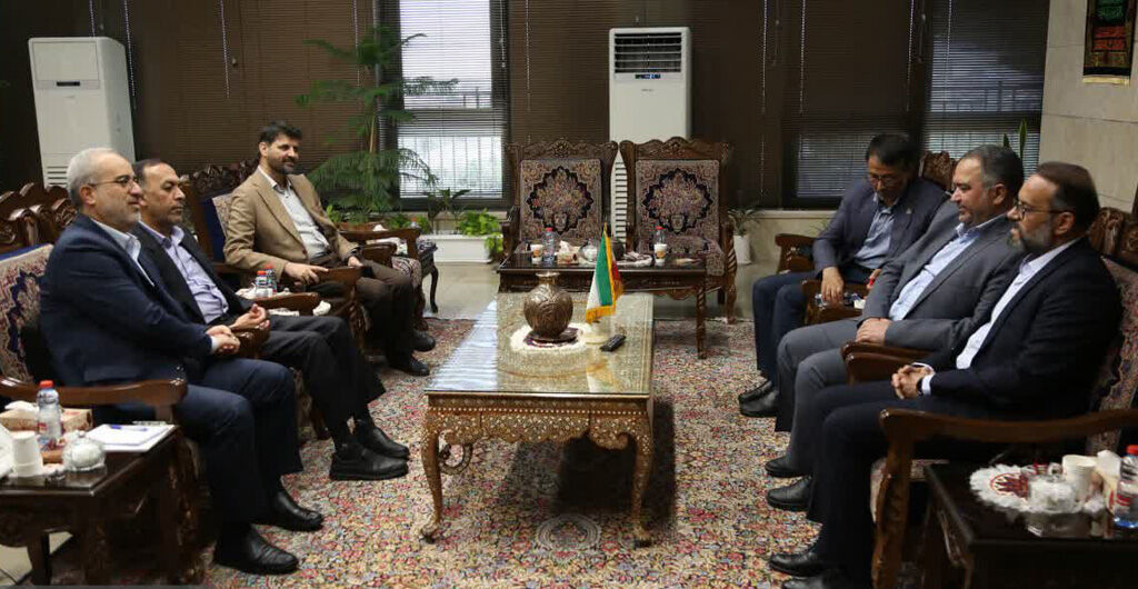 گازرسانی به ۶ شهر و ۸۰۳ روستای کرمان بهزودی تکمیل میشود