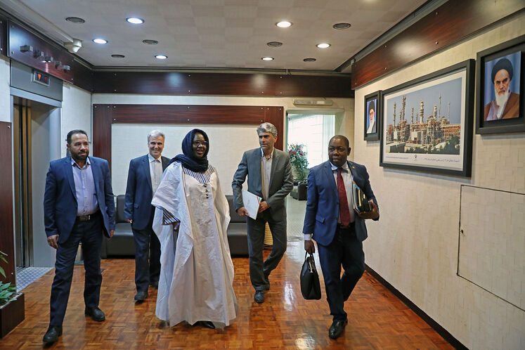 دیدار جواد اوجی، وزیر نفت با اولویا روامبا، وزیر امور خارجه بورکینافاسو