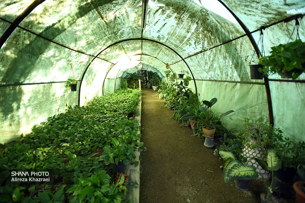 پیشرفت ۸۰ درصدی احداث واحد تولید عادی هگزان پالایشگاه تهران