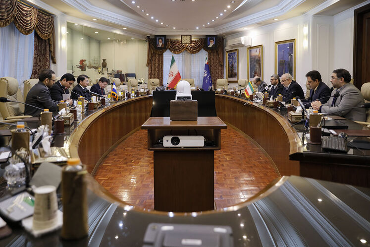 دیدار جواد اوجی، وزیر نفت با وزیر امور خارجه نیکاراگوئه