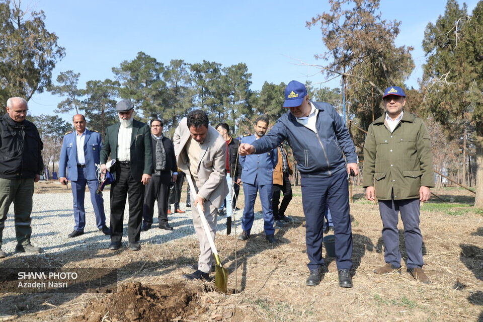 سرمایهگذاری ۱۵ میلیارد دلاری برای اجرای طرحهای بهینهسازی/ کاشت ۵ میلیون اصله نهال در صنایع پالایشی بهمنظور مشارکت در پروژههای ترسیب کربن سرمایهگذاری ۱۵ میلیارد دلاری برای اجرای طرحهای بهینهسازی/ کاشت ۵ میلیون اصله نهال در صنایع پالایشی بهمنظور مشارکت در پروژههای ترسیب کربن