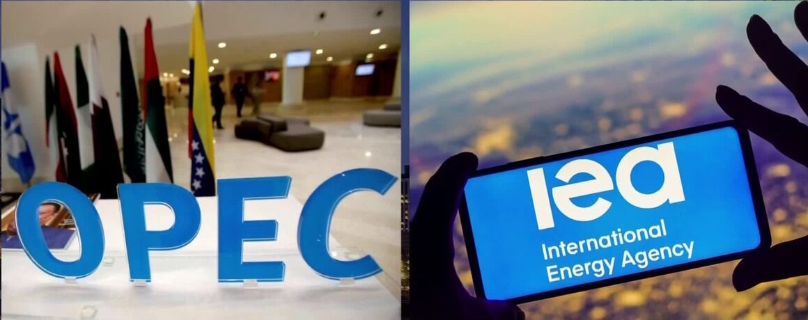 OPEC says IEA commentary on oil security encouraging