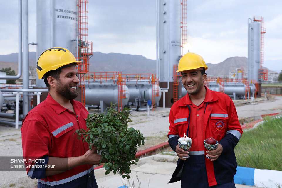 گزیدههای نفتی هفته گزیدههای نفتی هفته