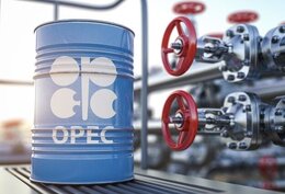 OPEC Weekly Price Declines