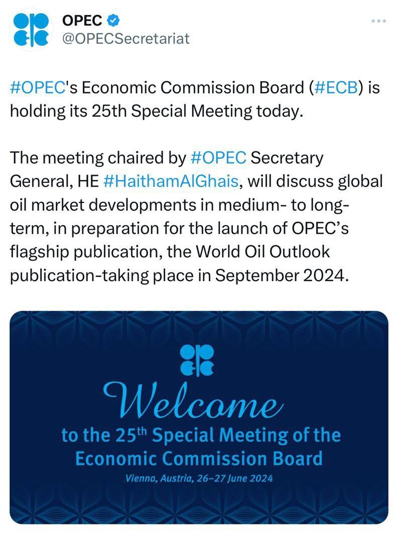 برگزاری نشست ویژه کمیسیون اقتصادی اوپک با محور نشست کاپ ۲۹