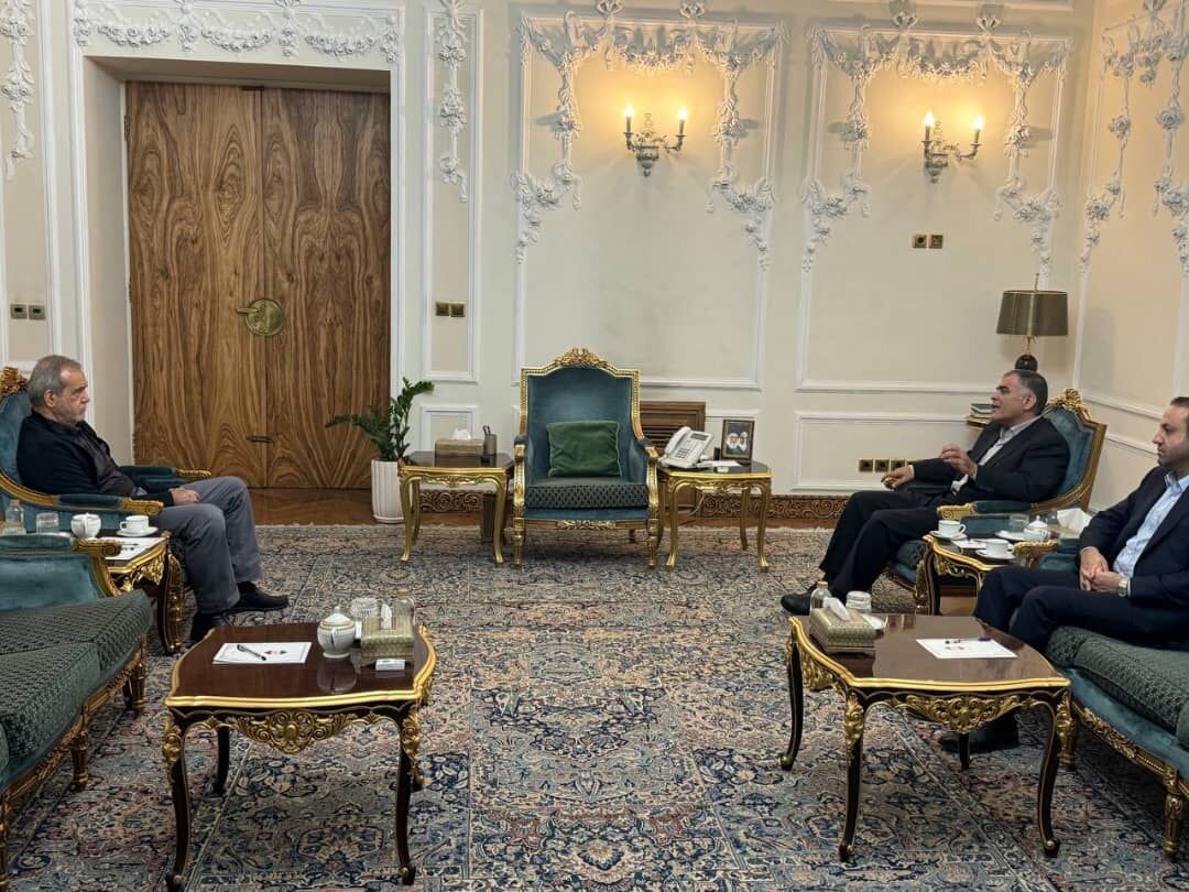 Petroleum Minister Visits President Petroleum Minister Visits President