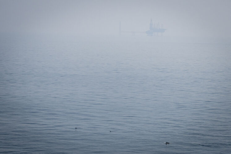 همزیستی مسالمتآمیز صنعت نفت با آبزیان