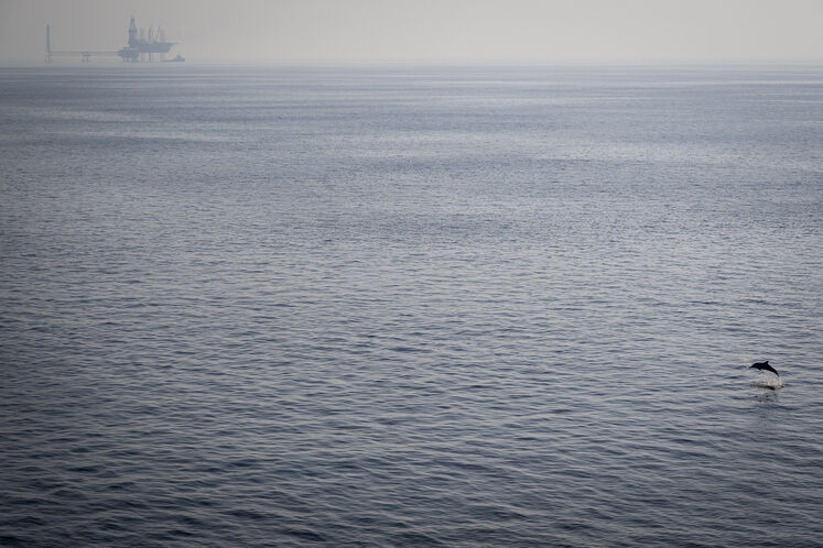 همزیستی مسالمتآمیز صنعت نفت با آبزیان