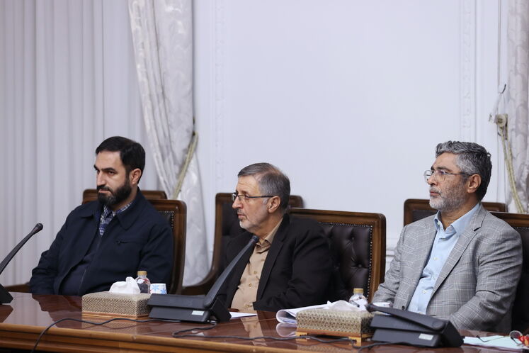 نشست بررسی همکاریهای مشترک ایران با اعضای بریکس