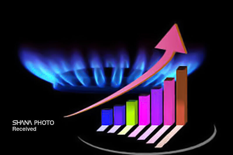 مصرف ۷۵ درصد گاز طبیعی در بخش خانگی