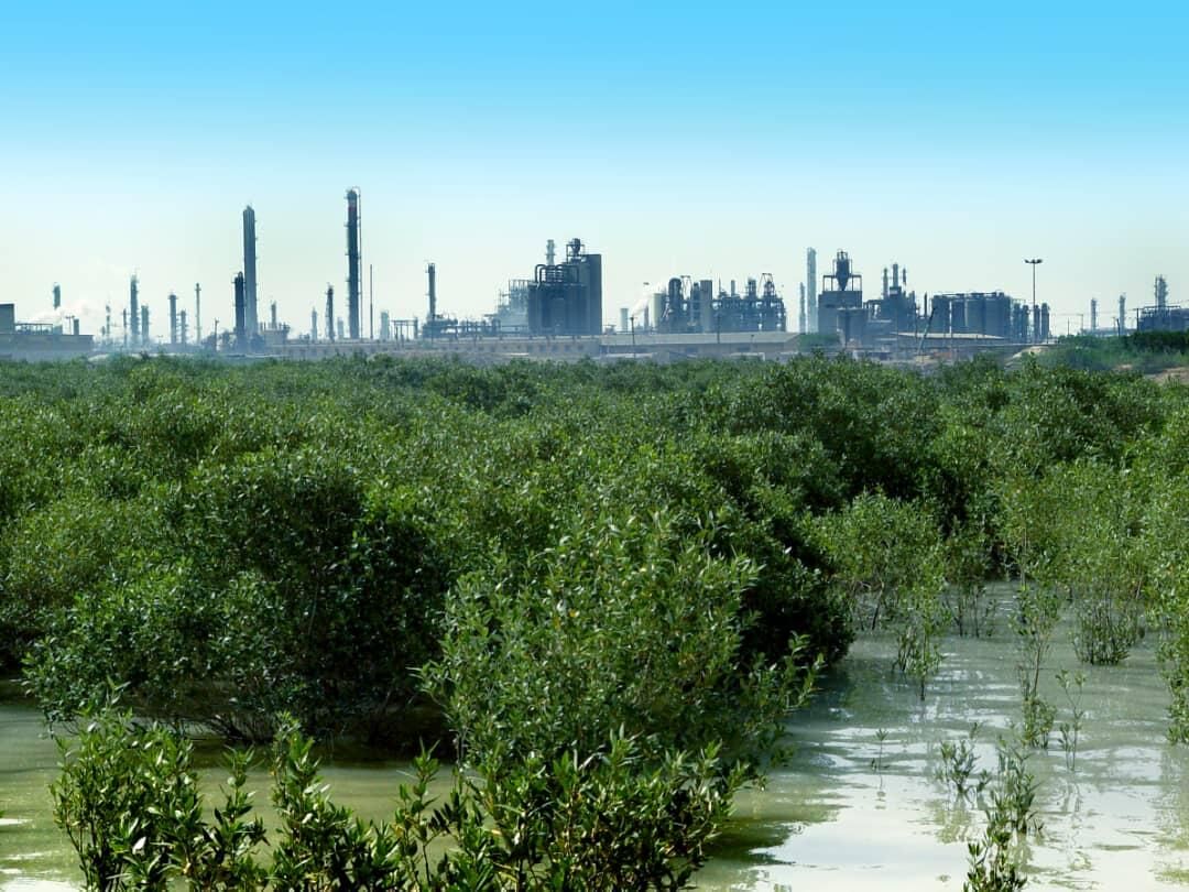 BIPC posts 36% production growth