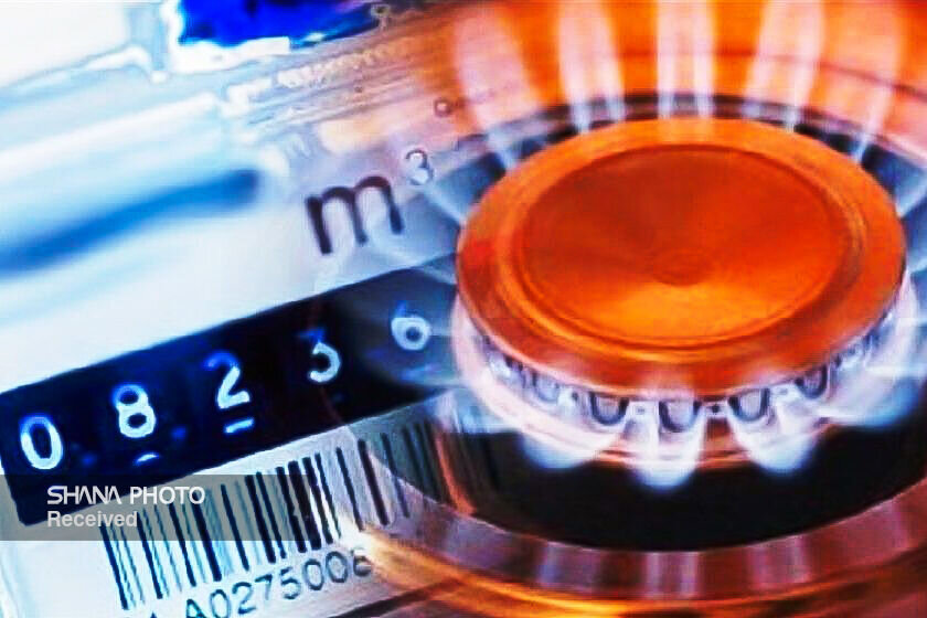 سهم ۶۸ درصدی بخش خانگی از گاز طبیعی سهم ۶۸ درصدی بخش خانگی از گاز طبیعی