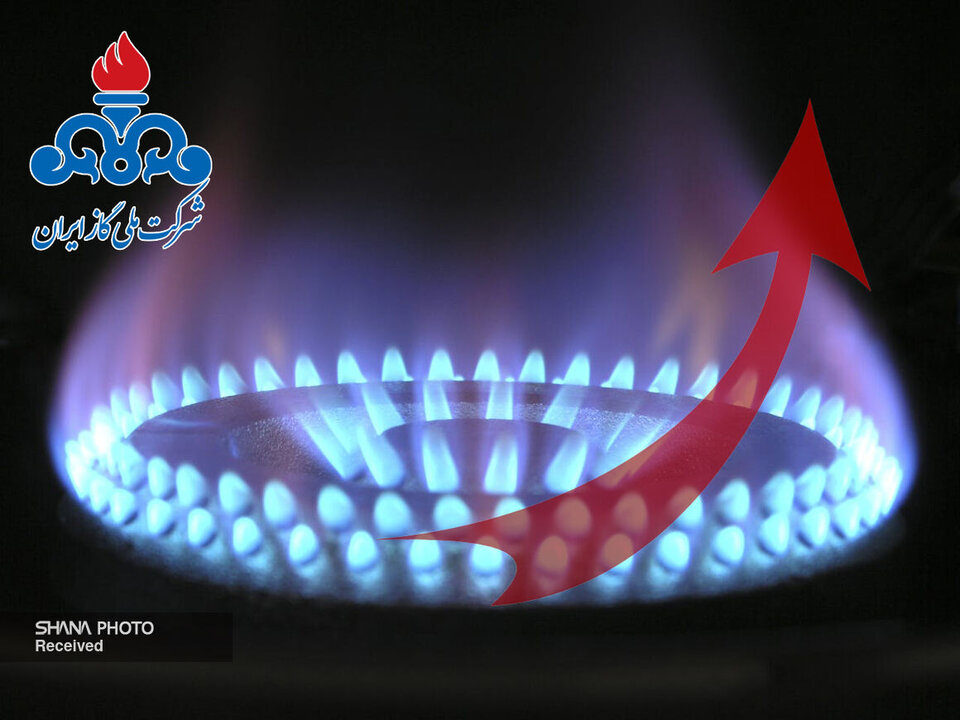 سهم ۷۲ درصدی بخش خانگی از کل گاز تولیدی سهم ۷۲ درصدی بخش خانگی از کل گاز تولیدی