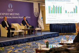 GECF experts discuss gas markets in Tehran