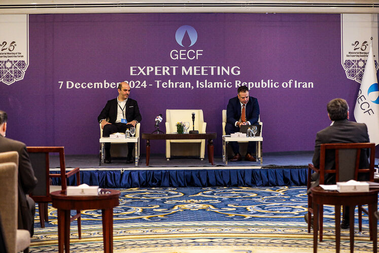 Expert Meeting of 26th GECF Ministerial Meeting