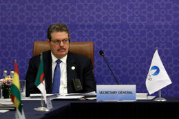 GECF secretary-general: Golden age of natural gas is ahead