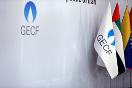 Iran proposes measures to strengthen global standing of GECF