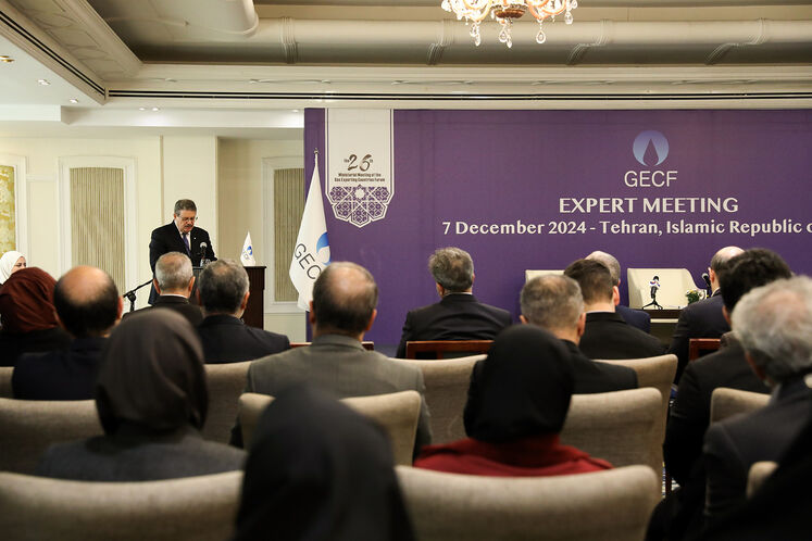 نشست کارشناسی بیستوششمین اجلاس وزیران جیئیسیاف