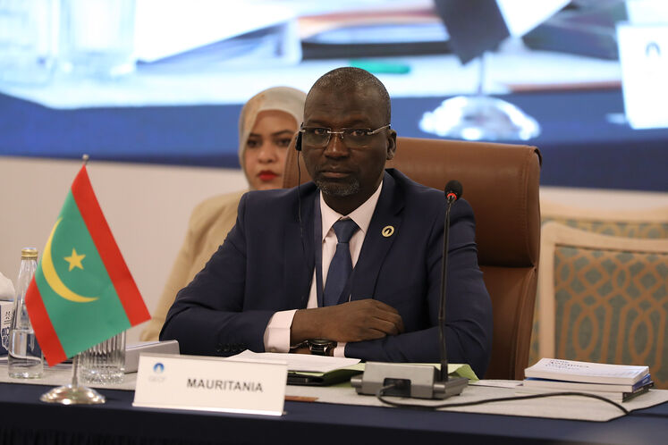 26th Ministerial Meeting of GECF