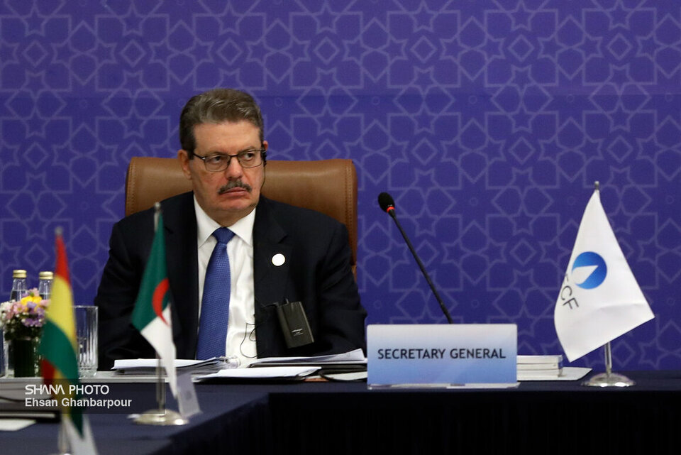 GECF secretary-general: Golden age of natural gas is ahead