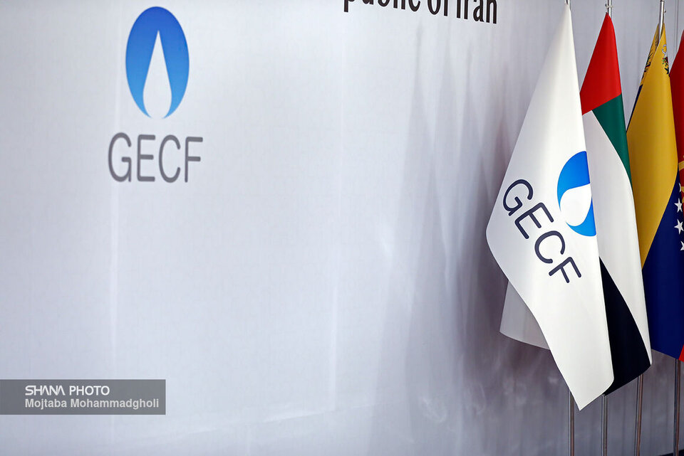 Iran proposes measures to strengthen global standing of GECF