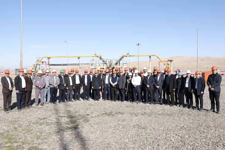 NIOC head visits gas projects in eastern Iran