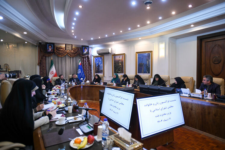 دیدار وزیر نفت با فراکسیون زنان و خانواده مجلس