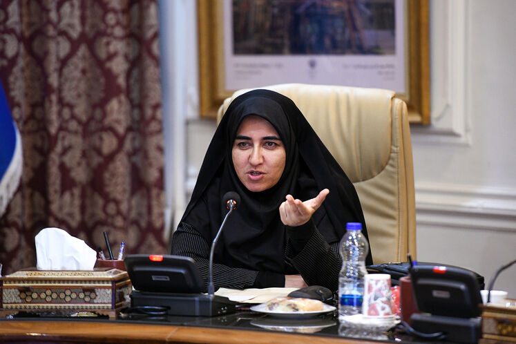 سارا فلاحی، نماینده ایلام، ایوان و چرداول در مجلس شورای اسلامی