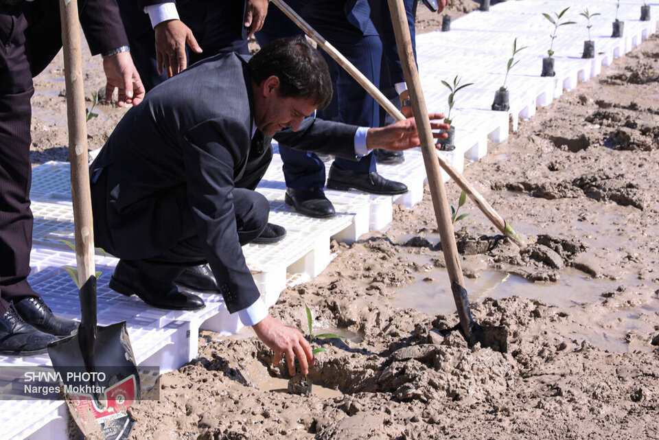 گسترش حراکاری پتروشیمی در ماهشهر گسترش حراکاری پتروشیمی در ماهشهر