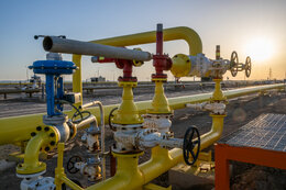 Parliament backs development of gas storage infrastructure