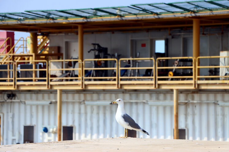 سکوی نصر، جزیره سیری