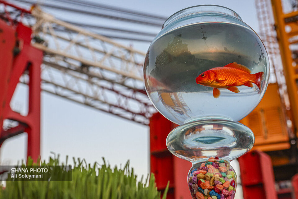 NPC emphasizes renewed motivation for a bright future in petchem industry NPC emphasizes renewed motivation for a bright future in petchem industry