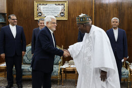 Tehran, Niamey to focus on oil, energy cooperation