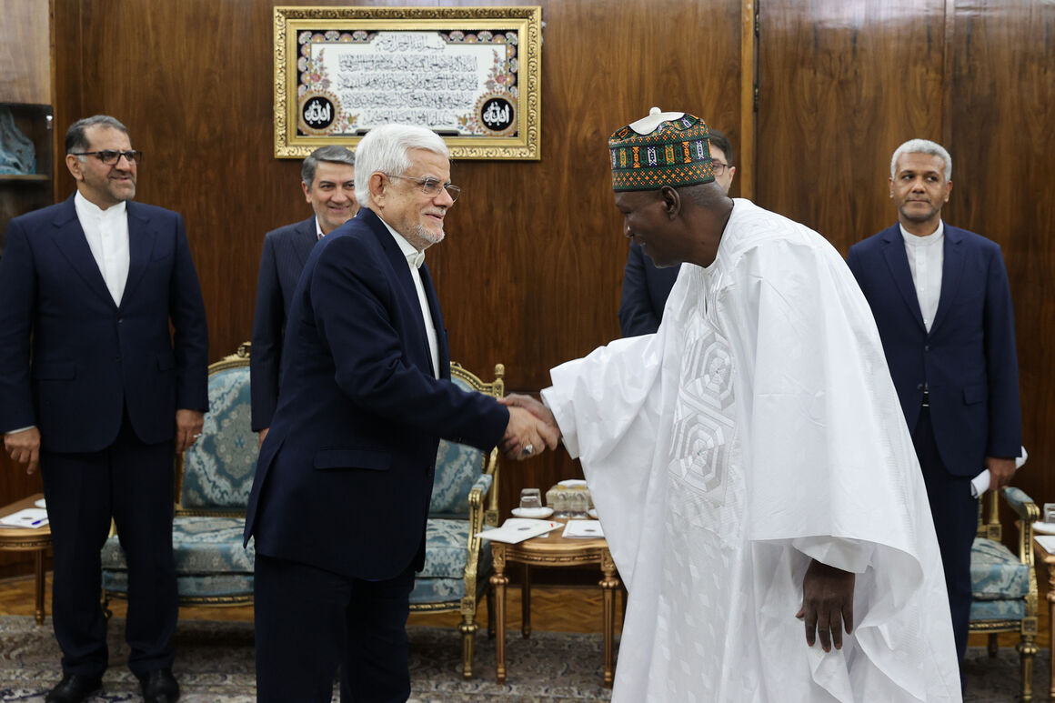 Tehran, Niamey to focus on oil, energy cooperation