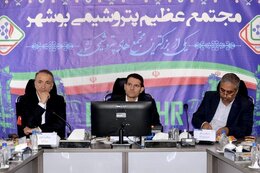NPC calls for balanced petchem development, warning against short-term fixes