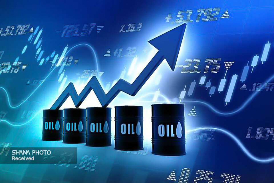 تداوم افزایش قیمت طلای سیاه تداوم افزایش قیمت طلای سیاه