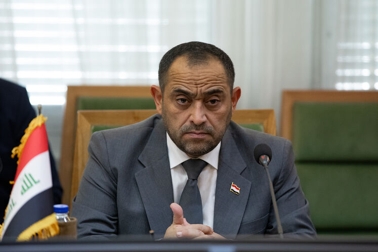 زیاد علی‌فاضل، وزیر برق عراق 