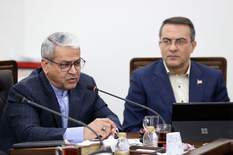 سید کامل تقوی نژاد، دبیر هیئت دولت
