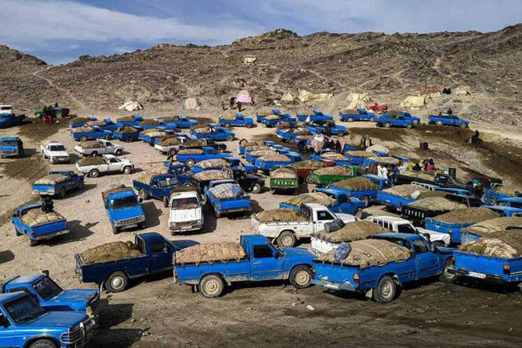 قاچاق سوخت در محاصره سیاست‌های هوشمندانه وزارت نفت