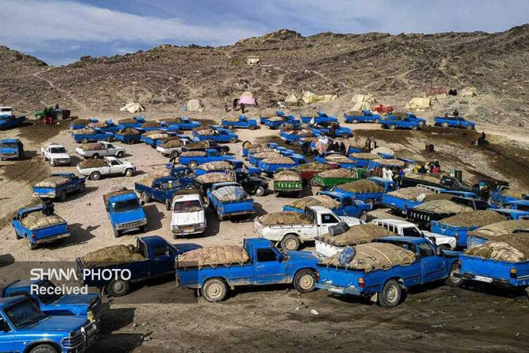 Oil Ministry launches multifaceted plan to stop fuel smuggling