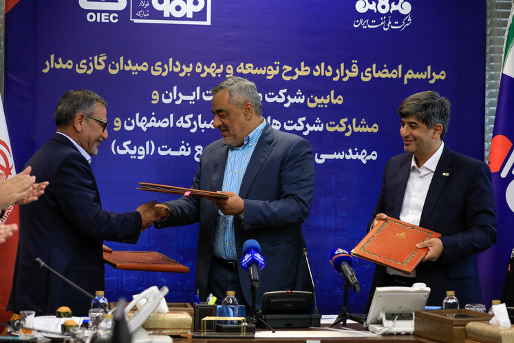 حمید بورد، مدیرعامل شرکت ملی نفت ایران و حمیدرضا عراقی، رئیس هیئت مدیره اویک