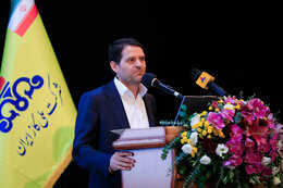 Private sector holds 15% share in Iran’s petrochemical industry