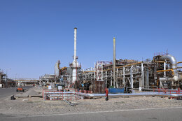 Parliament’s Energy Committee reviews statutes of refining, petrochemical firms