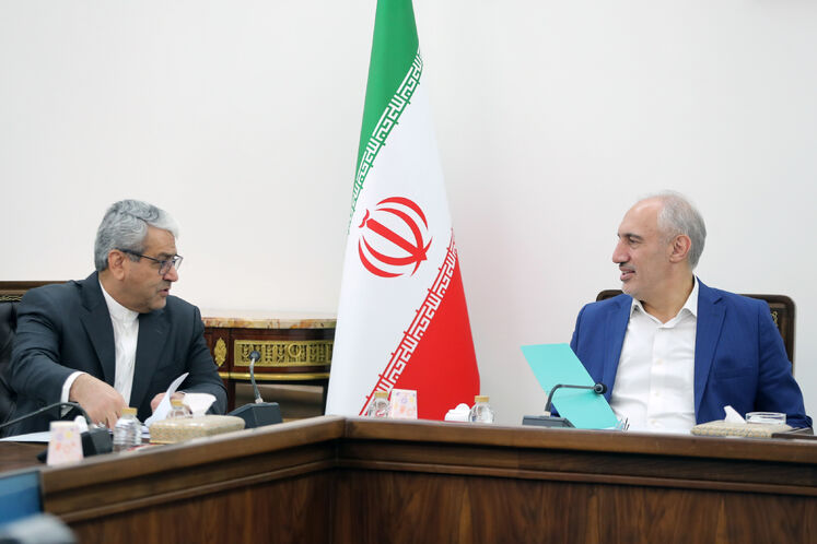 سیدحمید پورمحمدی، رئیس سازمان برنامه و بودجه و سید کامل تقوی‌نژاد، دبیر هیئت دولت
