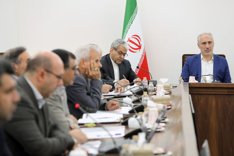 سیدحمید پورمحمدی، رئیس سازمان برنامه و بودجه و سید کامل تقوی نژاد، دبیر هیئت دولت