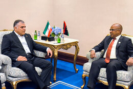 Iran, Libya oil ministers discuss energy cooperation