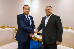 Tehran, Algiers seek synergy in energy ties