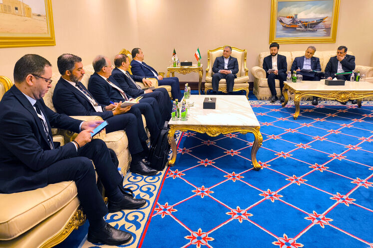 دیدار محسن پاک‌نژاد، وزیر نفت با محمد عرقاب، وزیر انرژی و معادن الجزایر